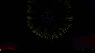 Gif animé feux d'artifices 161